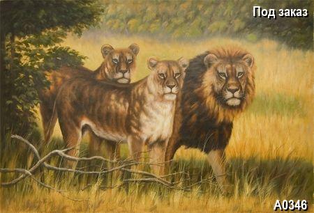 ������� Family lions, ����� Realism, �������� Animals