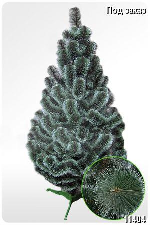 ����. ������� ������