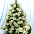 ������ &laquo;�����������&raquo; (11606) � �������� ������� ������