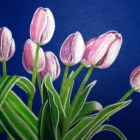 ����������� ������� ��������, �������� Still Life, ����� Impressionism